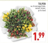 Tulpen Angebote bei Marktkauf Ratingen für 1,99 €