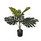Monstera artificielle h68cm en promo chez B&M Monstera artificielle h68cm dans le catalogue B&M