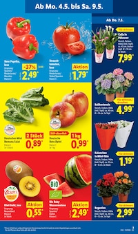 Gemüse im Lidl Prospekt "LIDL LOHNT SICH" mit 70 Seiten (Saarbrücken)