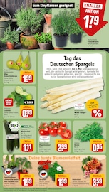 Ähnliche Angebote wie Veilchen im Prospekt "Dein Markt" auf Seite 7 von REWE in Bochum