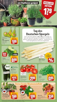 Spargel im REWE Prospekt "Dein Markt" mit 18 Seiten (Münster)