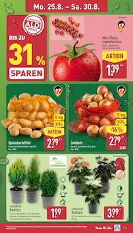 ALDI Nord Prospekt der aktuellen Woche, gültig von 25.08.2025 bis 30.08.2025 Aktueller ALDI Nord Prospekt "Aktuelle Angebote" mit 45 Seiten