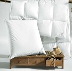 Aktuelles Marken Kopfkissen Angebot bei Ostermann in Oberhausen ab 69,90 €