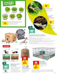 Offre Ardoise dans le catalogue Truffaut du moment à la page 7