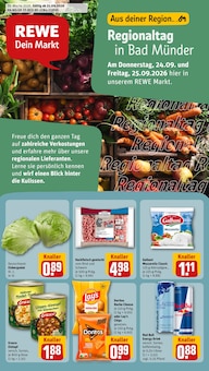 Aktueller REWE Prospekt für Bad Münder (Deister) und Ungebung, Seiten zum blättern REWE Prospekt Dein Markt mit Seiten in Bad Münder (Deister) und Umgebung