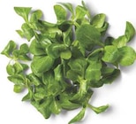Aktuelles Bio Feldsalat Angebot bei combi in Bremen ab 1,29 €