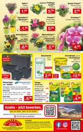 Dünger Angebot im aktuellen Zimmermann Prospekt auf Seite 10