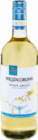 Pinot Grigio DOC im Netto Marken-Discount Prospekt Pinot Grigio DOC von Mezzacorona im aktuellen Netto Marken-Discount Prospekt für 4,49 €