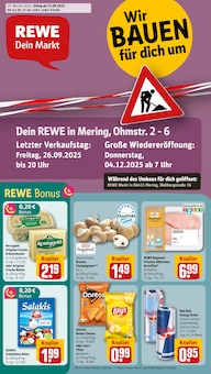Aktueller REWE Prospekt "Dein Markt" Seite 1 von 34 Seiten für Mering