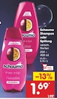 Netto Marken-Discount - Shampoo oder Spülung Angebot im Prospekt Shampoo oder Spülung bei Netto Marken-Discount im Prospekt "" für 1,69 €