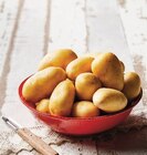 Pomme de terre de consommation à chair ferme - U en promo chez U Express Alès à 2,25 €