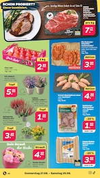 Calluna Angebot im aktuellen Netto mit dem Scottie Prospekt auf Seite 24