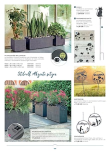 Weihnachtsbaum im PROFI Wesch Prospekt "GARTEN KATALOG" mit 244 Seiten (Eisenach)