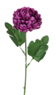 Tige chrysanthème - Maxi Bazar à Sucy-en-Brie Tige chrysanthème en promo chez Maxi Bazar Sucy-en-Brie à 1,49 €