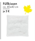 Füllkissen Angebote bei TEDi Albstadt für 2,00 €