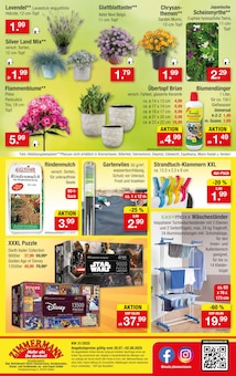 Lavendel Angebot im aktuellen Zimmermann Prospekt auf Seite 10