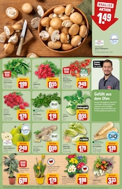 Ähnliche Angebote wie Tomatenpflanze im Prospekt "Dein Markt" auf Seite 7 von REWE in Ingolstadt