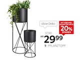 Pflanztopf im Angebot bei XXXLutz in Neubrandenburg Pflanztopf Angebote von Ambia Home bei XXXLutz Neubrandenburg für 29,99 €