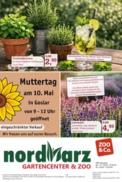 Aktueller Garten-Center Nordharz GmbH & Co. KG Prospekt mit Kräuter, "SUMMER TIME!", Seite 16