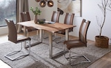 Schwingstuhl im Angebot bei XXXLutz in Greifswald Schwingstuhl Angebote von Carryhome bei XXXLutz Greifswald für 49,90 €