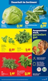 Minze Angebot im aktuellen Lidl Prospekt auf Seite 11