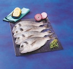 U Express Marseille - Promo Daurade royale d'aquaculture Promo Daurade royale d'aquaculture à 9,60 € dans le catalogue U Express à Marseille