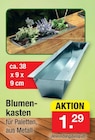 Blumenkasten Angebote bei Zimmermann Halberstadt für 1,29 €