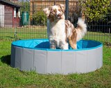 Hundekühlmatte Angebote von ZooRoyal bei REWE Oberursel für 7,99 €