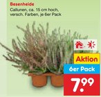 Aktuelle Pflanzen Angebote bei Netto Marken-Discount in Jena Aktuelles Besenheide Angebot bei Netto Marken-Discount in Jena ab 7,99 €
