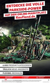 Akku Rasenmäher im Kaufland Prospekt in Detmold Aktueller Kaufland Prospekt mit Akku Rasenmäher, "Aktuelle Angebote", Seite 35