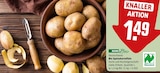 Bio Speisekartoffeln Angebote von REWE Bio bei REWE Fulda für 1,49 €