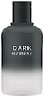 Rossmann - Dark Mystery Angebot im Prospekt Dark Mystery bei Rossmann im Prospekt "" für 5,49 €