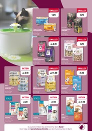 Thunfisch Angebot im aktuellen ZooRoyal Prospekt auf Seite 4