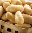 Promo Pommes de terre de consommation à 1,59 € dans le catalogue Intermarché Super à Commercy