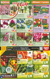 Aktueller Norma Prospekt mit Tulpen, "Mehr fürs Geld", Seite 14