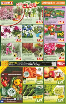 Ente Angebot im aktuellen Norma Prospekt auf Seite 14