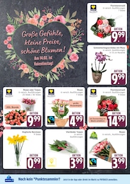 Blumen im Marktkauf Prospekt Top Angebote auf S. 10