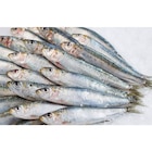 Sardine - CARREFOUR en promo chez Carrefour Grenoble à 3,99 €