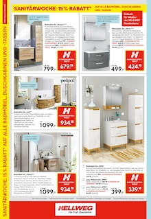 Bad-Spiegelschrank im Hellweg Prospekt "Die Profi-Baumärkte" mit 24 Seiten (Dortmund)