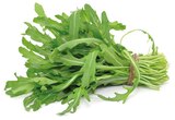 Rucola Angebote bei REWE Bergheim für 0,75 €