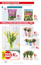 Fleurs Angebote im Prospekt "Super U" von Super U auf Seite 26