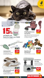 Laserpointer im Das Futterhaus Prospekt Wintersale bis zu 40% Rabatt! auf S. 7