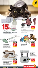 Kissen im Das Futterhaus Prospekt in Hückelhoven Aktueller Das Futterhaus Prospekt mit Kissen, "Wintersale bis zu 40% Rabatt!", Seite 7