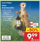 Aktuelles Solar-Erdmännchen Angebot bei Netto Marken-Discount in Ludwigshafen (Rhein) ab 9,99 €