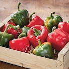 Poivron Bicolore en promo chez Netto Poivron Bicolore dans le catalogue Netto