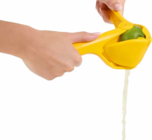 Manuelle Zitruspresse im Angebot bei Netto Marken-Discount in Pirmasens Manuelle Zitruspresse Angebote von GOURMETMAXX bei Netto Marken-Discount Pirmasens für 4,99 €