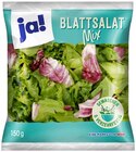 Feldsalat Mix oder Blattsalat Mix im Angebot bei REWE in Mannheim Feldsalat Mix oder Blattsalat Mix Angebote von ja! bei REWE Mannheim für 0,89 €