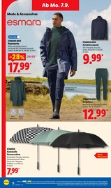 Regenschirm im Lidl Prospekt in Regensburg Aktueller Lidl Prospekt mit Regenschirm, "LIDL LOHNT SICH", Seite 40