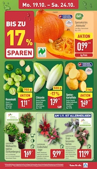 ALDI Nord Prospekt der aktuellen Woche, gĂĽltig von 19.10.2026 bis 24.10.2026 Aktueller ALDI Nord Prospekt "Aktuelle Angebote" mit 46 Seiten