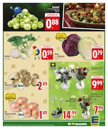 EDEKA Blumen im Prospekt 